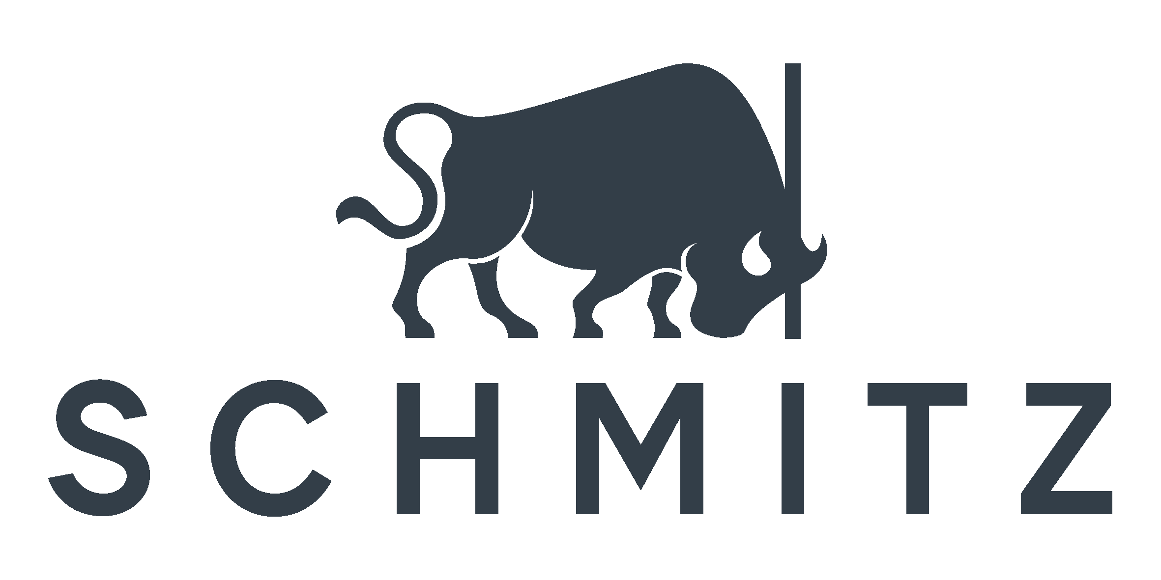 SCHMITZ medical GmbH